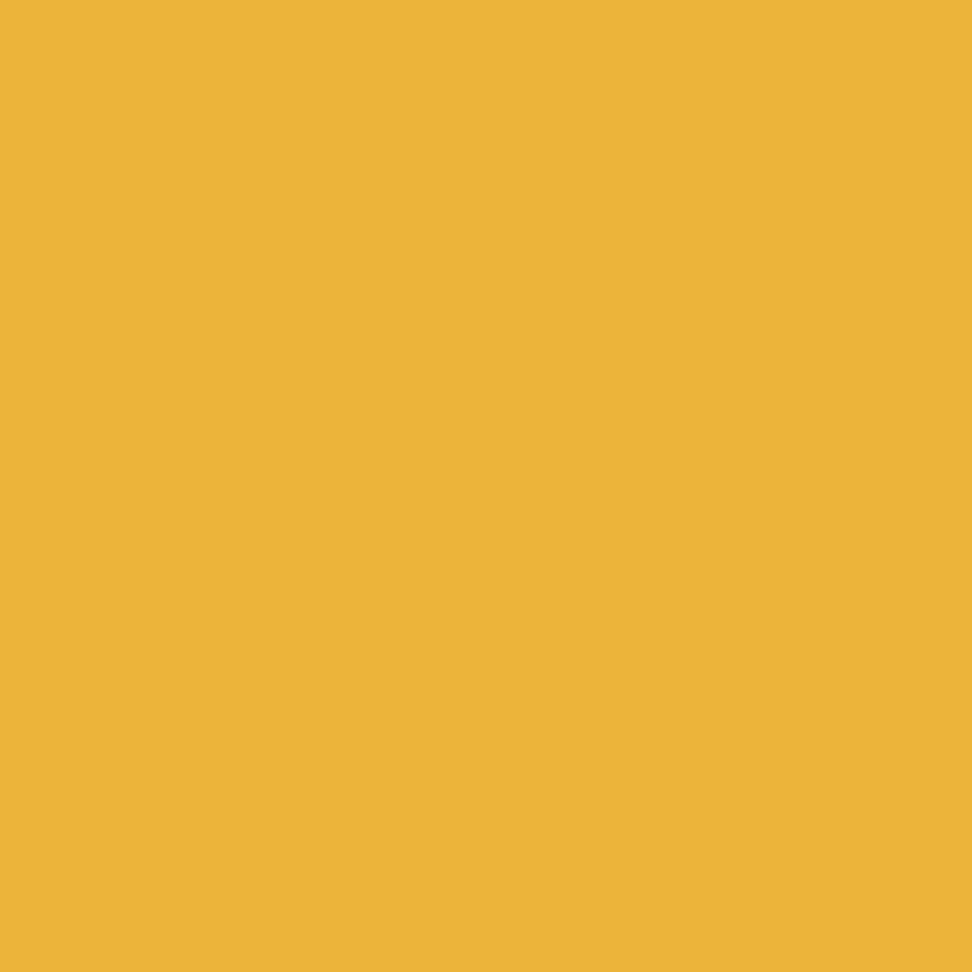 K-06 - OURO