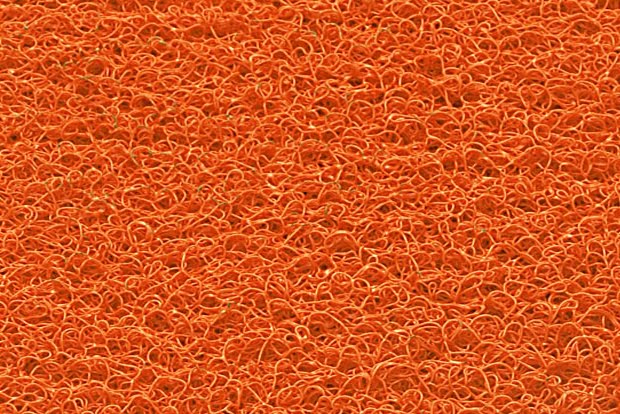 laranja-09