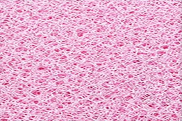 rosa-bebê-25