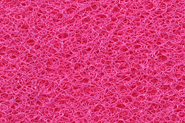 rosa-pink-21